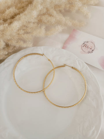 Boucles alba