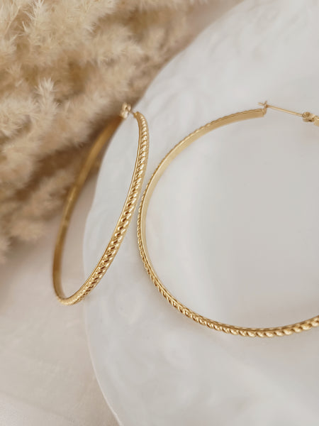 Boucles alba